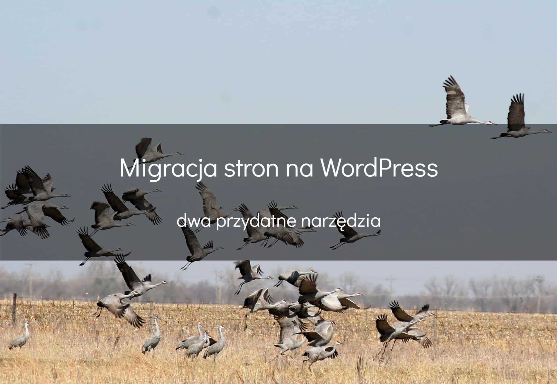 Migracja WordPress – jak zrobić to dobrze?