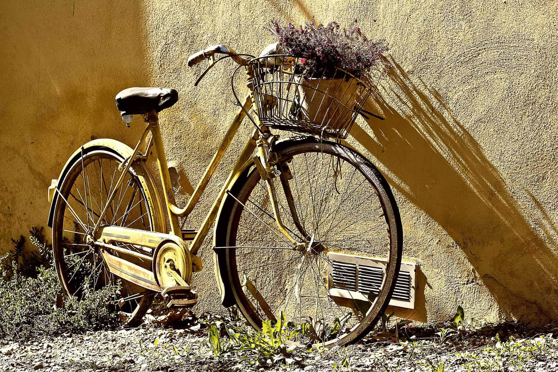 Minimum Viable Product - rower