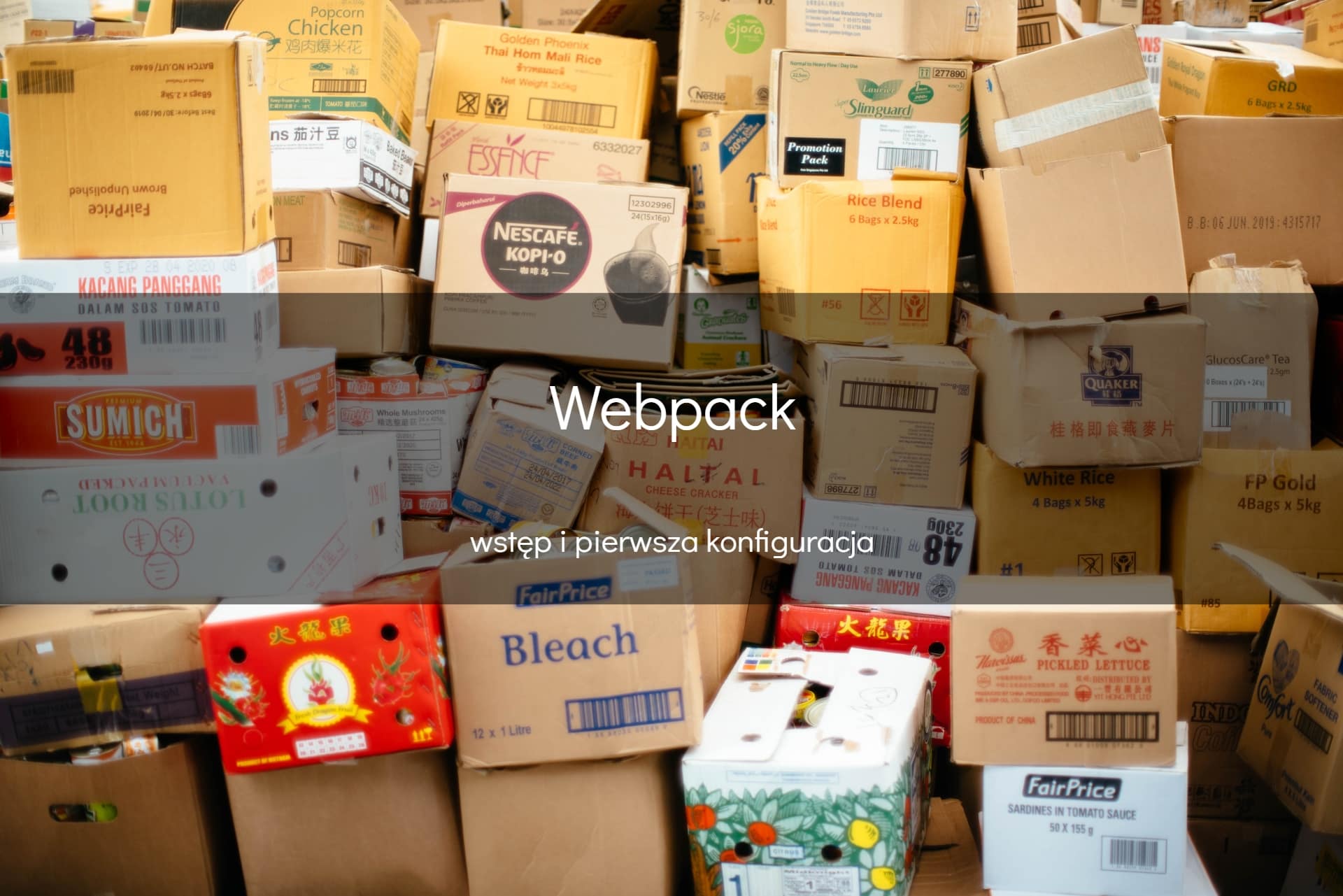 Webpack - okładka