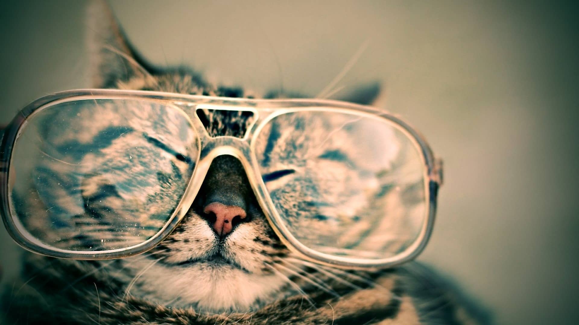 Zdrowie w pracy programisty - okulary