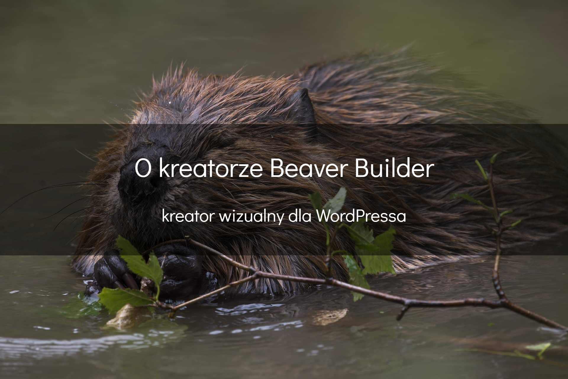 Beaver Builder - okładka