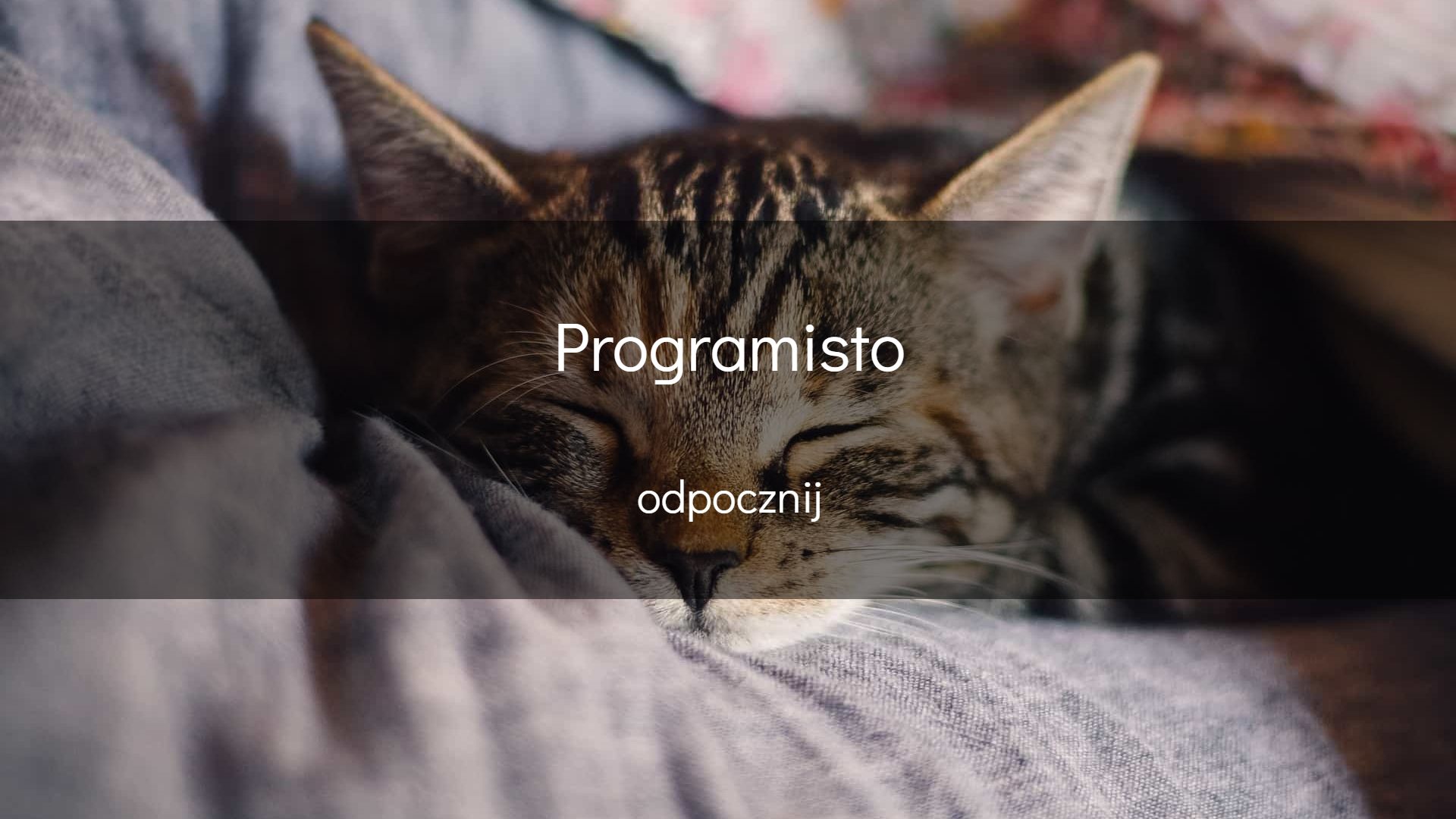 Programisto, odpocznij…