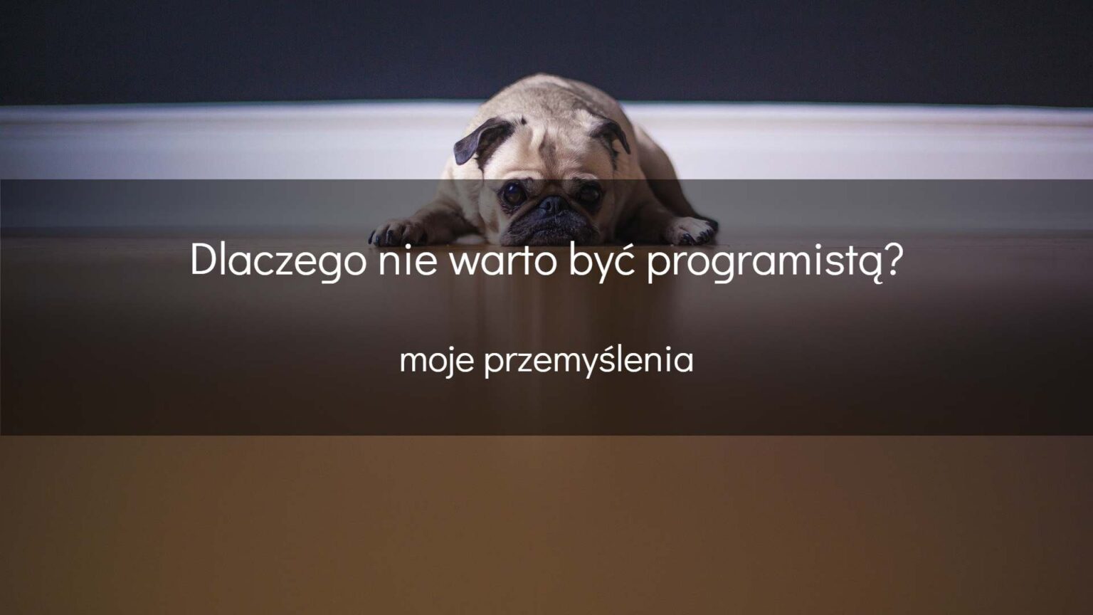 Dlaczego nie warto być programistą - okładka