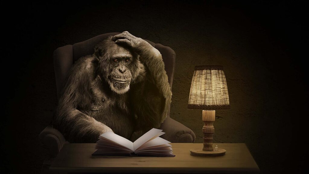 Małpa z książką