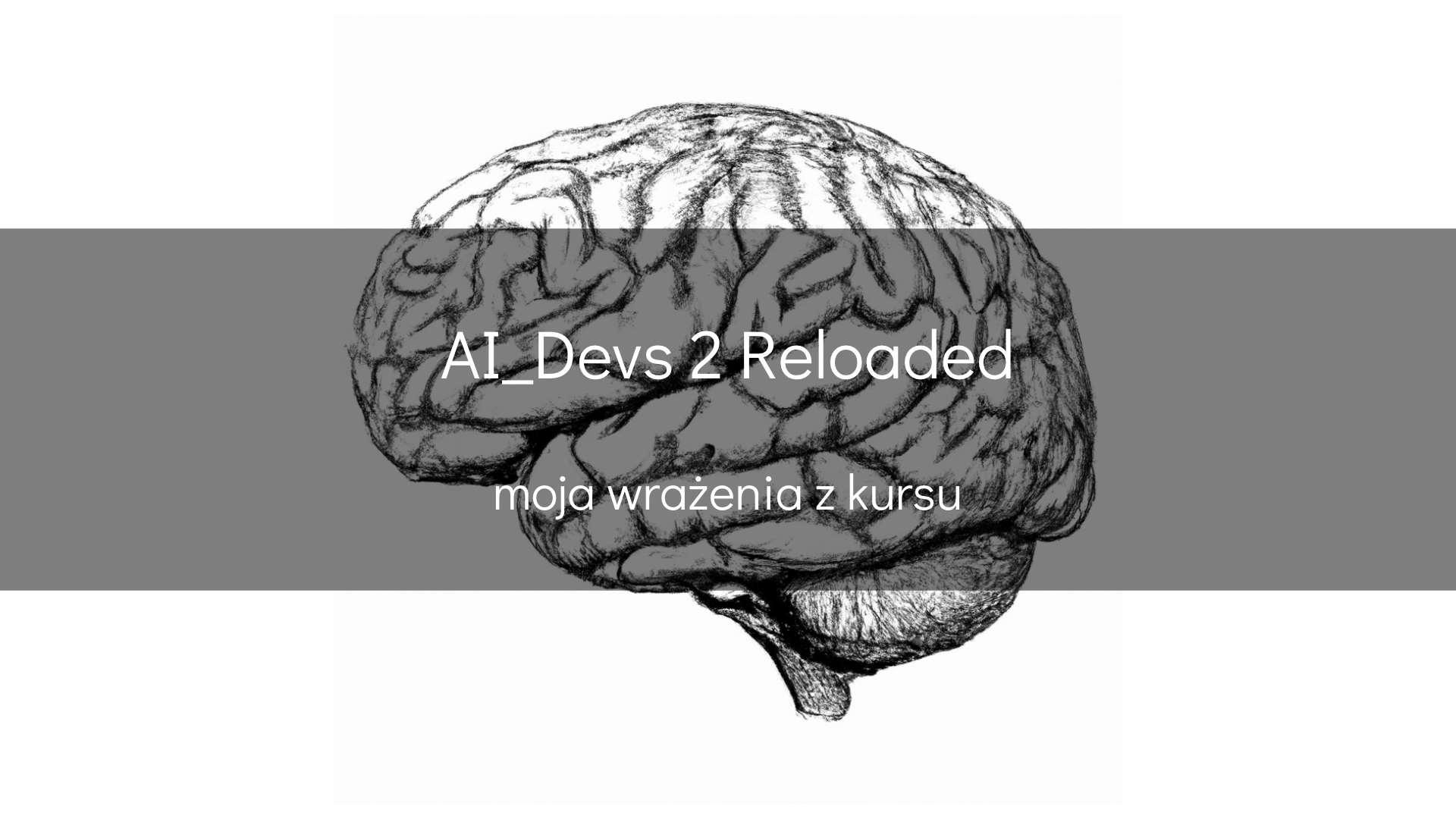 AI_Devs 2 Reloaded - okładka