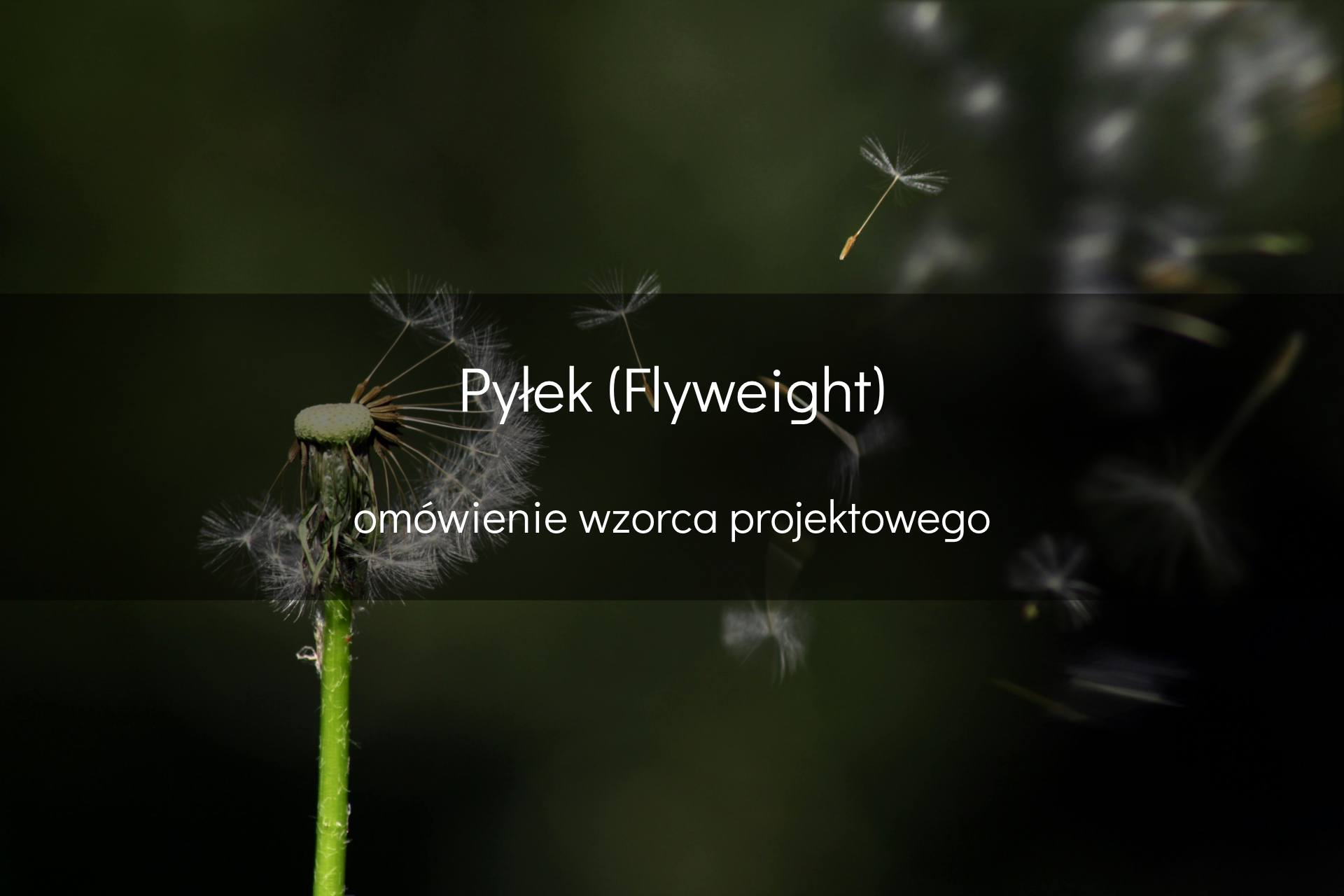 Wzorzec projektowy Pyłek - okładka