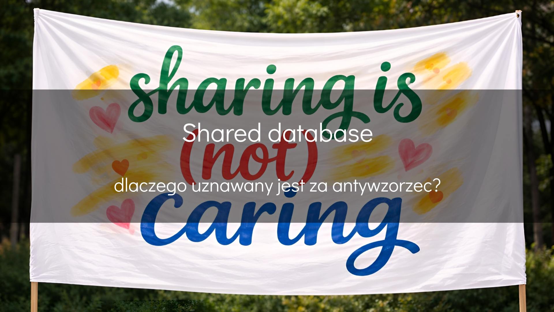 Antywzorzec shared database - okładka